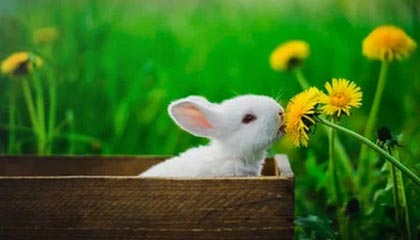 离谱！行业震荡终于有人说出，看完沉默了，行业van