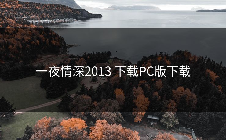 一夜情深2013 下载PC版下载 一夜情深2013 下载PC版下载