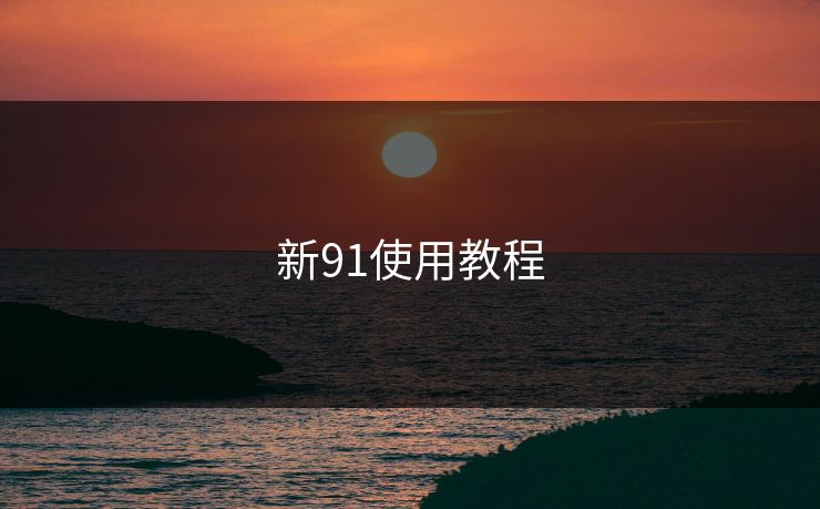 新91使用教程