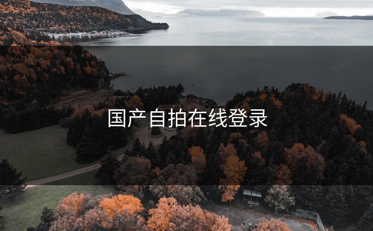 国产自拍在线登录